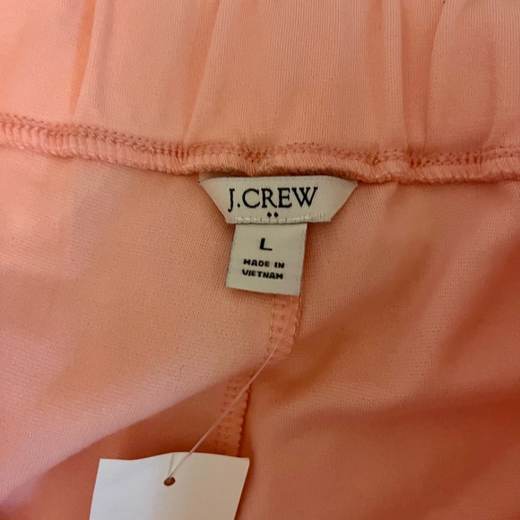 🩷NWT | J.Crew | Pintuck Sweatpants | Pink | Size Large🩷 - Picture 3 of 5